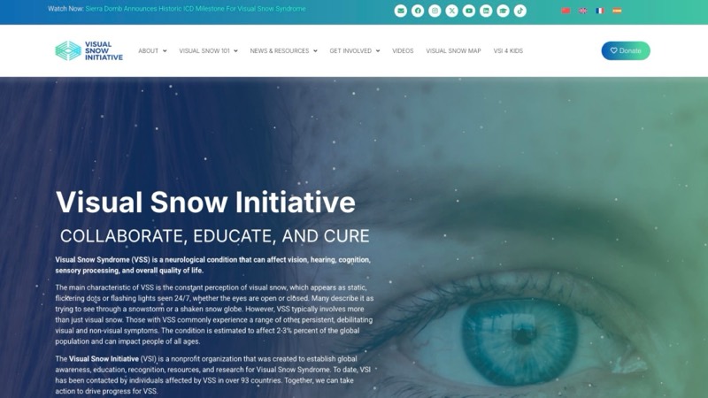 VisualSnowInitiative.org